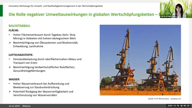 Branchenstudien Lieferketten Umweltrisiken Auswirkungen