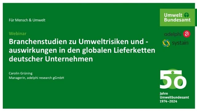 Branchenstudien Lieferketten Umweltrisiken Auswirkungen